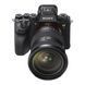 Объектив Sony FE 24-70mm f/2.8 GM II (SEL2470GM2.SYX)